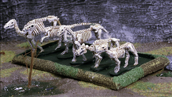 Skeleton Animals