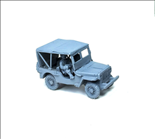 Canopy Jeep